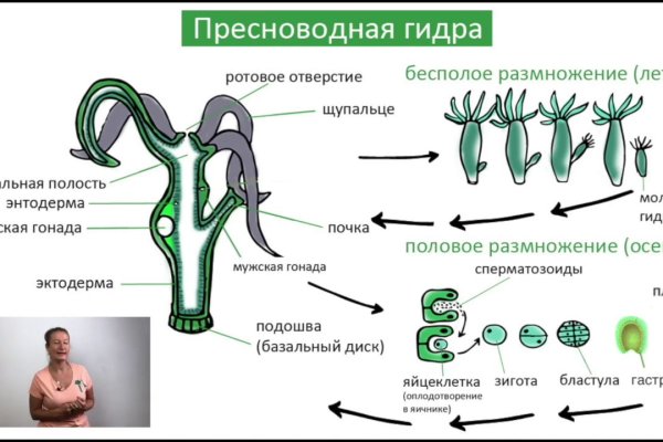 Настоящая ссылка на кракен