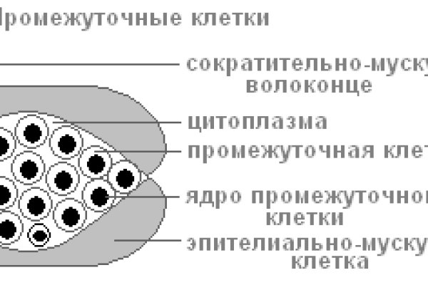 Как зайти на кракен kr2web in