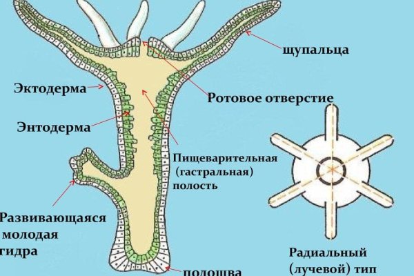 Как восстановить пароль на кракене