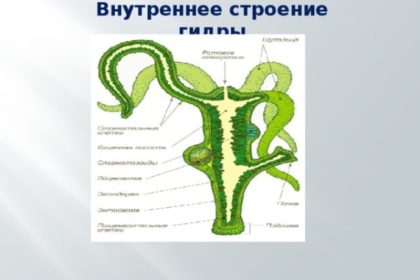 Кракен точка ат